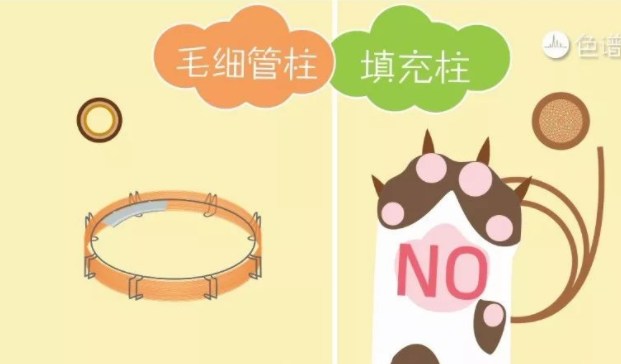 BSport体育官网检坛:气相色谱仪填充柱和毛细管柱该如何选择?-气相色谱仪厂家_国产气相色谱仪_白酒分析气相色谱仪-山东BSport体育官网科学仪器有限公司