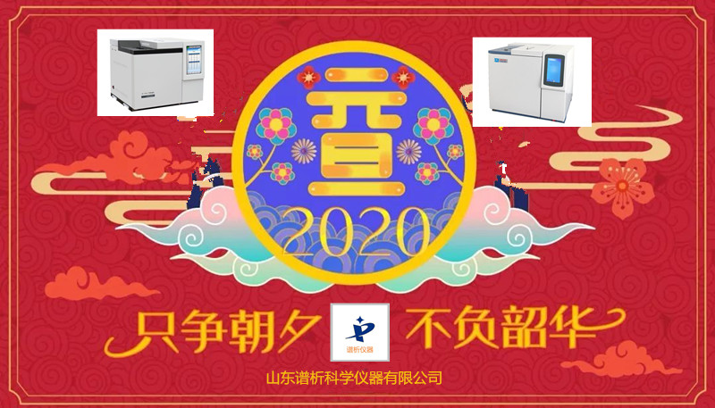 只争朝夕、砥砺前行《BSport体育官网仪器》不忘初心、不负韶华-气相色谱仪厂家_国产气相色谱仪_白酒分析气相色谱仪-山东BSport体育官网科学仪器有限公司