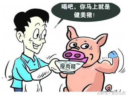 国产气相色谱仪在食品安全检测中都有哪些应用分析-气相色谱仪厂家_国产气相色谱仪_白酒分析气相色谱仪-山东BSport体育官网科学仪器有限公司