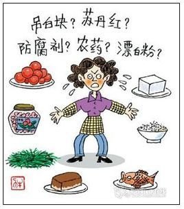 国产气相色谱仪在食品安全检测中都有哪些应用分析-气相色谱仪厂家_国产气相色谱仪_白酒分析气相色谱仪-山东BSport体育官网科学仪器有限公司