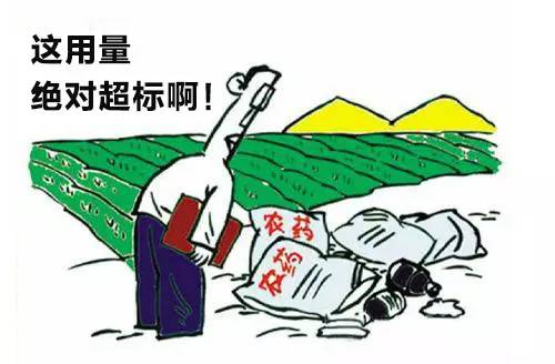 科学仪器揭露土壤奥秘 助力农业生产-气相色谱仪厂家_国产气相色谱仪_白酒分析气相色谱仪-山东BSport体育官网科学仪器有限公司