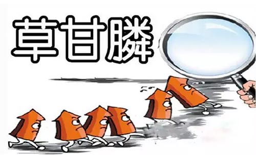 高效液相色谱仪测定水质 草甘膦的含量标准-气相色谱仪厂家_国产气相色谱仪_白酒分析气相色谱仪-山东BSport体育官网科学仪器有限公司