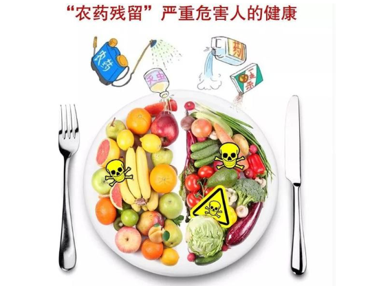 气相色谱仪检测蔬菜农药残留如何进行的?-气相色谱仪厂家_国产气相色谱仪_白酒分析气相色谱仪-山东BSport体育官网科学仪器有限公司