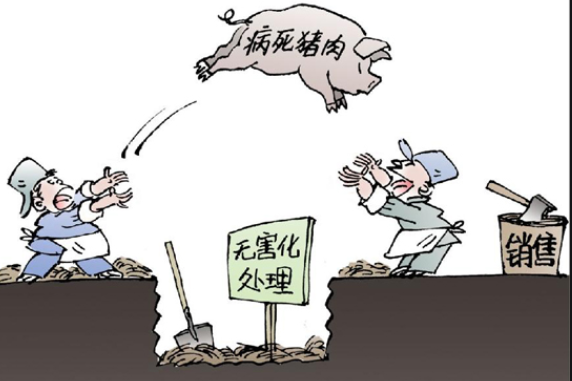 色谱仪等检测设备严控猪肉质量问题 餐桌安全有保障-气相色谱仪厂家_国产气相色谱仪_白酒分析气相色谱仪-山东BSport体育官网科学仪器有限公司