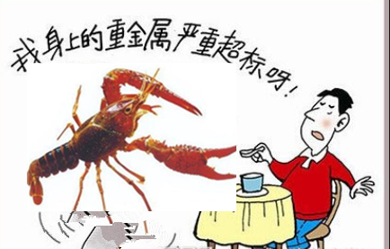 小龙虾重金属超标 检测标准助力食品安全-气相色谱仪厂家_国产气相色谱仪_白酒分析气相色谱仪-山东BSport体育官网科学仪器有限公司