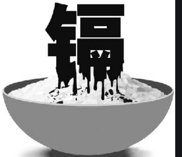 “镉大米”重现市场 重金属食品该如何杜绝?-气相色谱仪厂家_国产气相色谱仪_白酒分析气相色谱仪-山东BSport体育官网科学仪器有限公司
