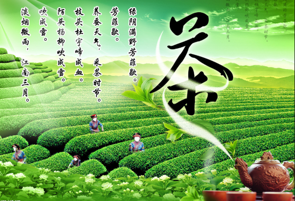 春茶飘香 色谱仪器让你饮一壶好茶-气相色谱仪厂家_国产气相色谱仪_白酒分析气相色谱仪-山东BSport体育官网科学仪器有限公司